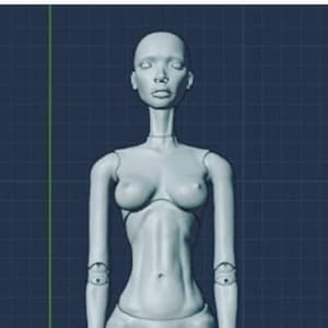 Author&#39;s 3D file bjd dolls