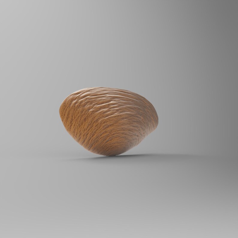 3d Sea Shell Cnc Router Wood Textured Clam Shell 3D Model STL File for CNC Router 3D Printing ...