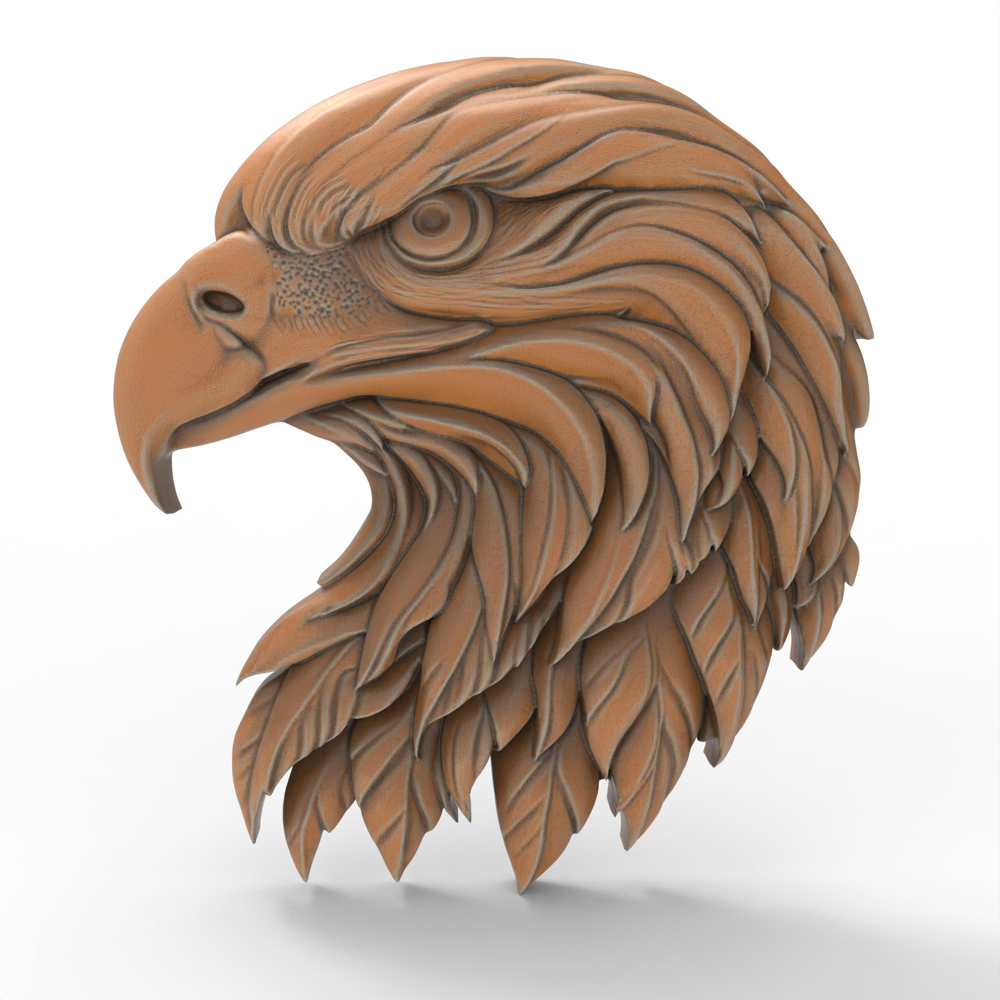 Aigle modèle 3d France