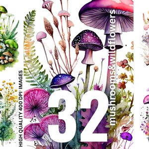32 Pilze und Wildblumen, Aquarell hohe Qualität 400 Dpi Dateien bunte magische Pilze Aquarell Clipart, digitale Kulisse