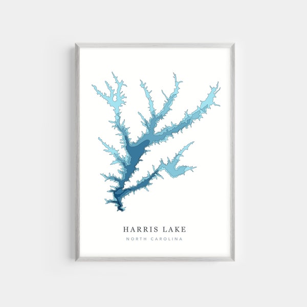Harris Lake, North Carolina | PHOTO PRINT or CANVAS | Modern Minimalist Depth Map Wall Decor Art, Unframed