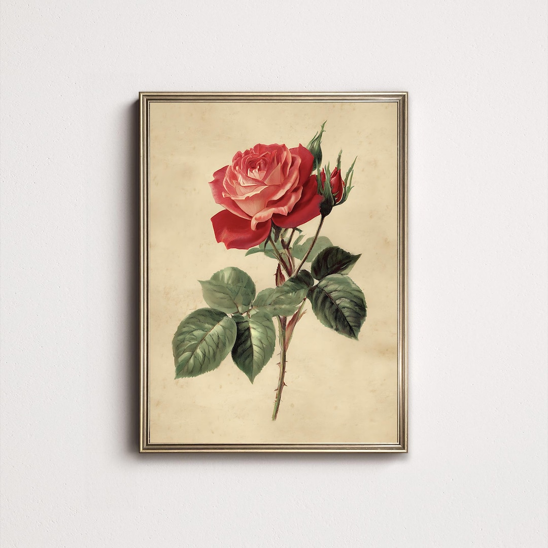 Antique Botanical Rose Print | Vintage Floral Wall Art | Classic ...