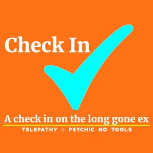 Check In. A reading on long gone ex. Their current feelings about the world in general, over the next 4 months, & feelings for you