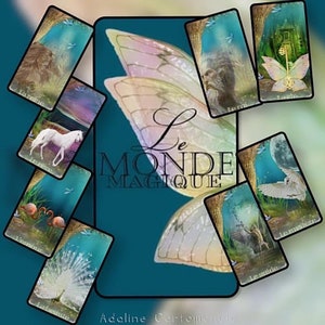 Oracle: Die magische Welt von Adaline – Vorbestellung