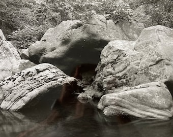 Guardians of Richland Creek - 11x14" Silver Gelatin Black and White Photograph