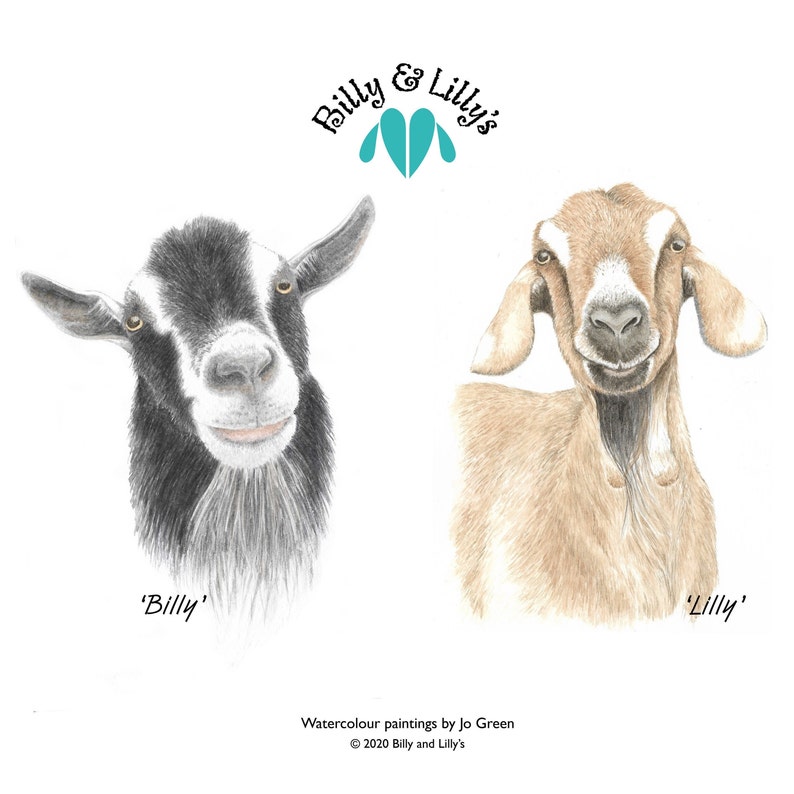 May include: Watercolor painting of two goats, one black and white and one brown, with the text 'Billy & Lilly' above them. The text 'Billy' is below the black and white goat and the text 'Lilly' is below the brown goat. The text 'Watercolour paintings by Jo Green &copy; 2020 Billy and Lilly's' is at the bottom of the image.