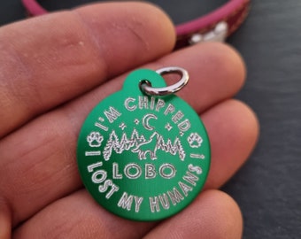Op de afbeelding: Groene metalen hondenhanger met de tekst "Ik ben gechipt, ik ben mijn mensen kwijt, ik ben Lobo" en een wolfsilhouet met een halve maan en sterren.