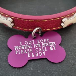 May include: A purple bone-shaped dog tag with the text "I GOT LOST PROWLING FOR BITCHES PLEASE CALL MY DADDY". The tag is attached to a red leather dog collar with bone-shaped details.