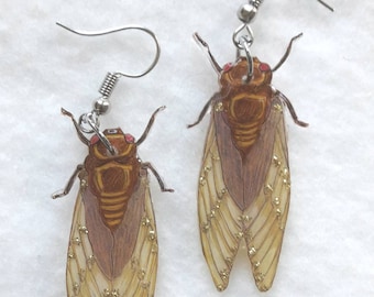 Earrings, Hanger, Unique Single Piece, Cicada, Insect, Cricket Jewelry