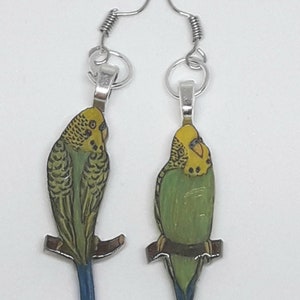 Budgerigar parrot earrings, hanger, unique, one-off, bird, little bird, pet