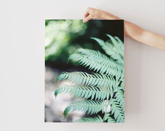 California Wild Nature Print Digital Print Photography Instant Download Greenery Staircase Trail Print Printable Wall Art