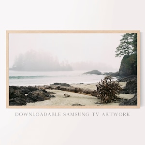 May include: A misty beach scene with a large, weathered tree trunk lying on the sand. The ocean is in the background, with a small island in the distance. The scene is framed by a wooden frame.