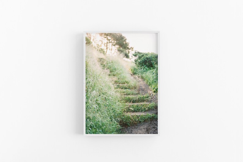 California Wild Nature Print Digital Print Photography Instant Download Greenery Staircase Trail Print Printable Wall Art