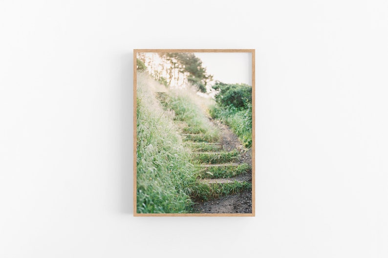 California Wild Nature Print Digital Print Photography Instant Download Greenery Staircase Trail Print Printable Wall Art