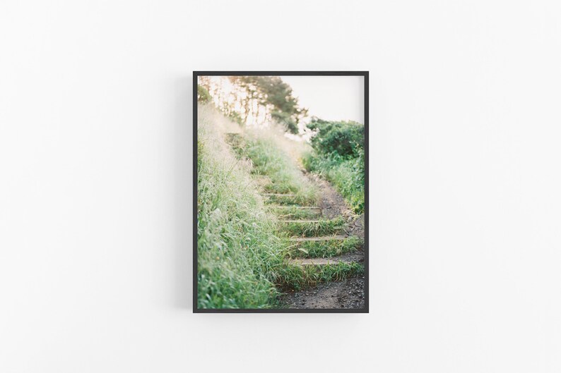 California Wild Nature Print Digital Print Photography Instant Download Greenery Staircase Trail Print Printable Wall Art