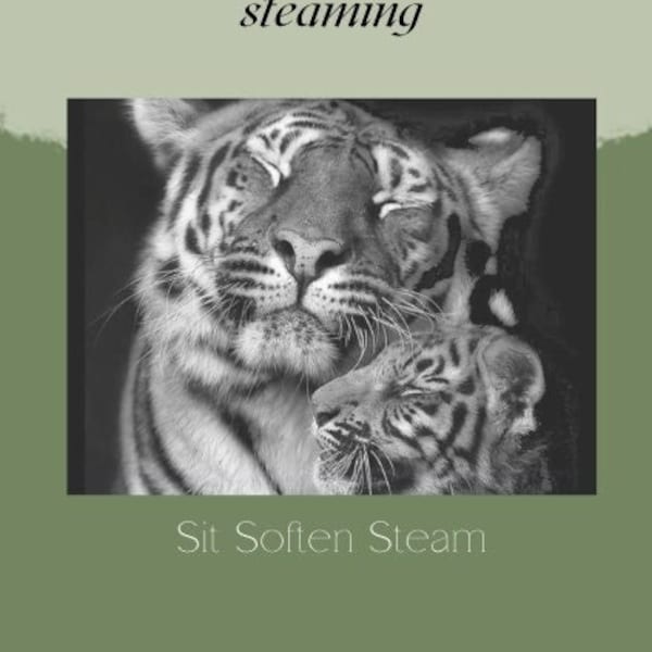 Sacral Steam ;The healing feminine practice of postpartum yoni steaming