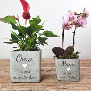 Könnte beinhalten: Zwei quadratische, graue Betonpflanzgefäße mit Pflanzen. Eines hat ein rotes Anthurium, das andere eine rosa Orchidee. Auf den Pflanzgefäßen steht "Oma" und "Mama" mit "DU BIST wunderbar" darunter und ein weißes Herz.