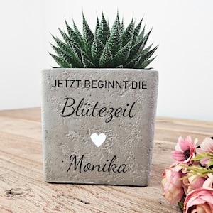 Könnte beinhalten: Ein quadratischer, grauer Beton-Pflanztopf mit einer Sukkulentenpflanze. Der Topf trägt den Text "JETZT BEGINNT DIE Blütezeit" und den Namen "Monika" in schwarzer Schrift sowie ein weißes Herzsymbol.
