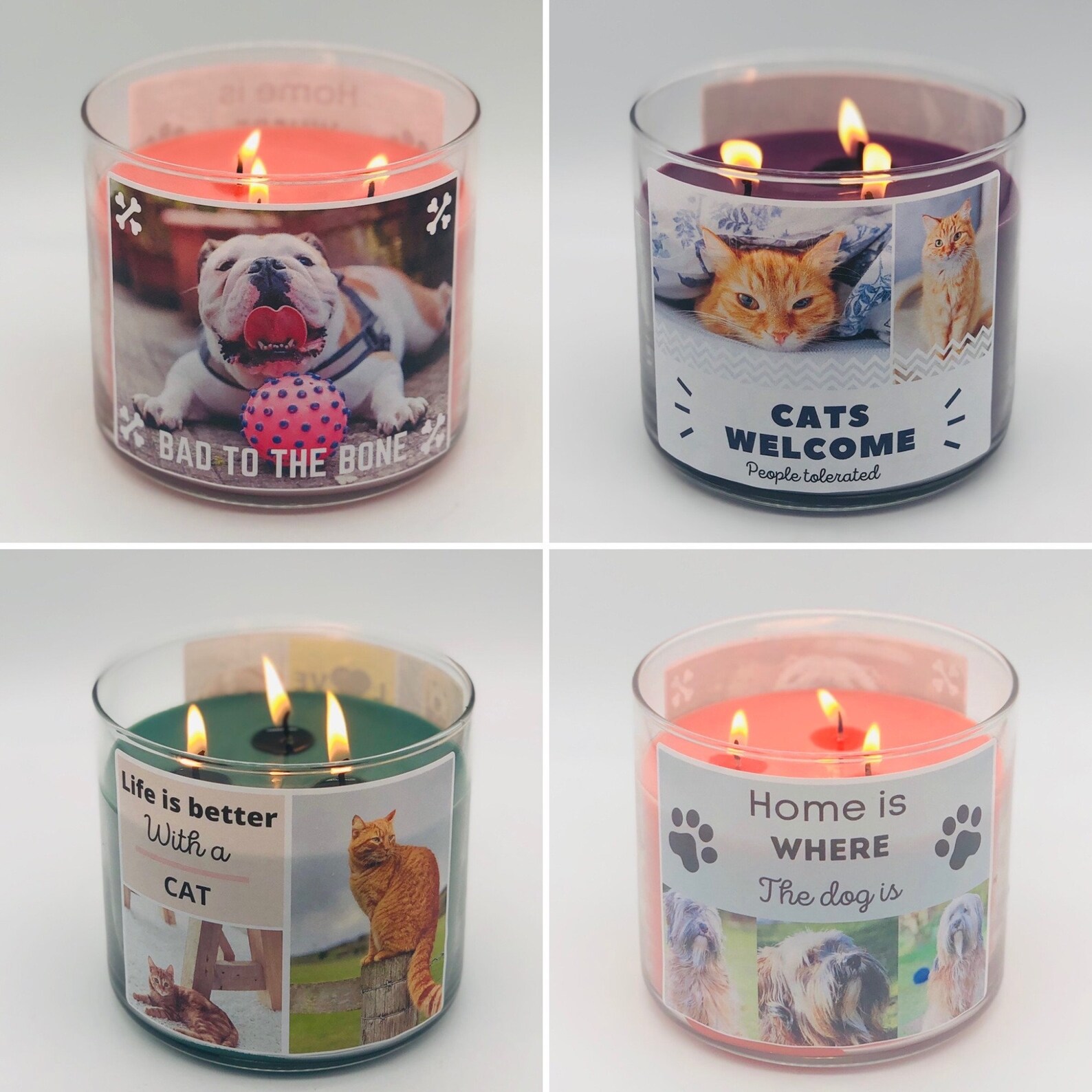 Custom Pet Candle 14oz soy 3 wick personalized jar candle Etsy