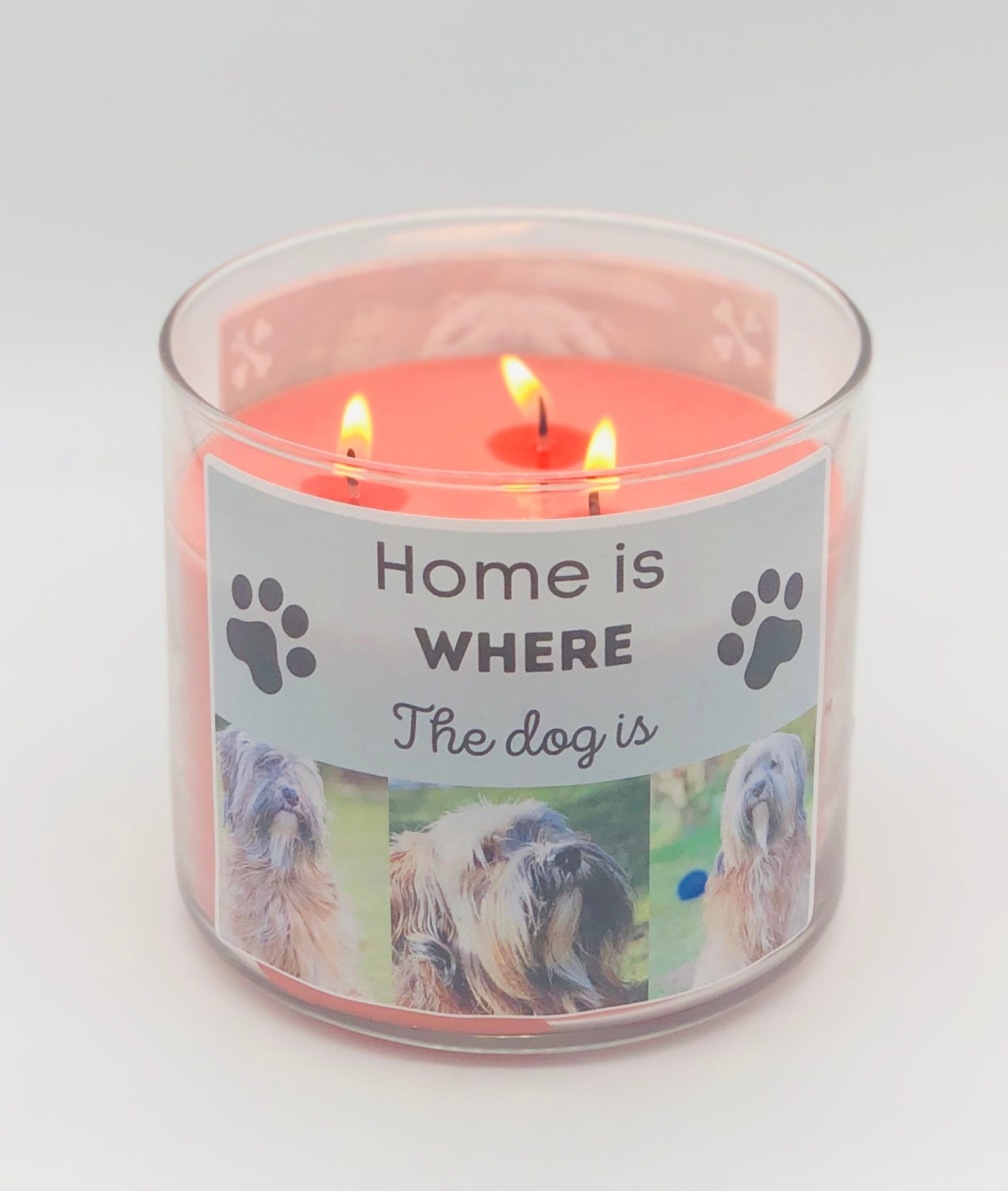 Custom Pet Candle 14oz soy 3 wick personalized jar candle Etsy