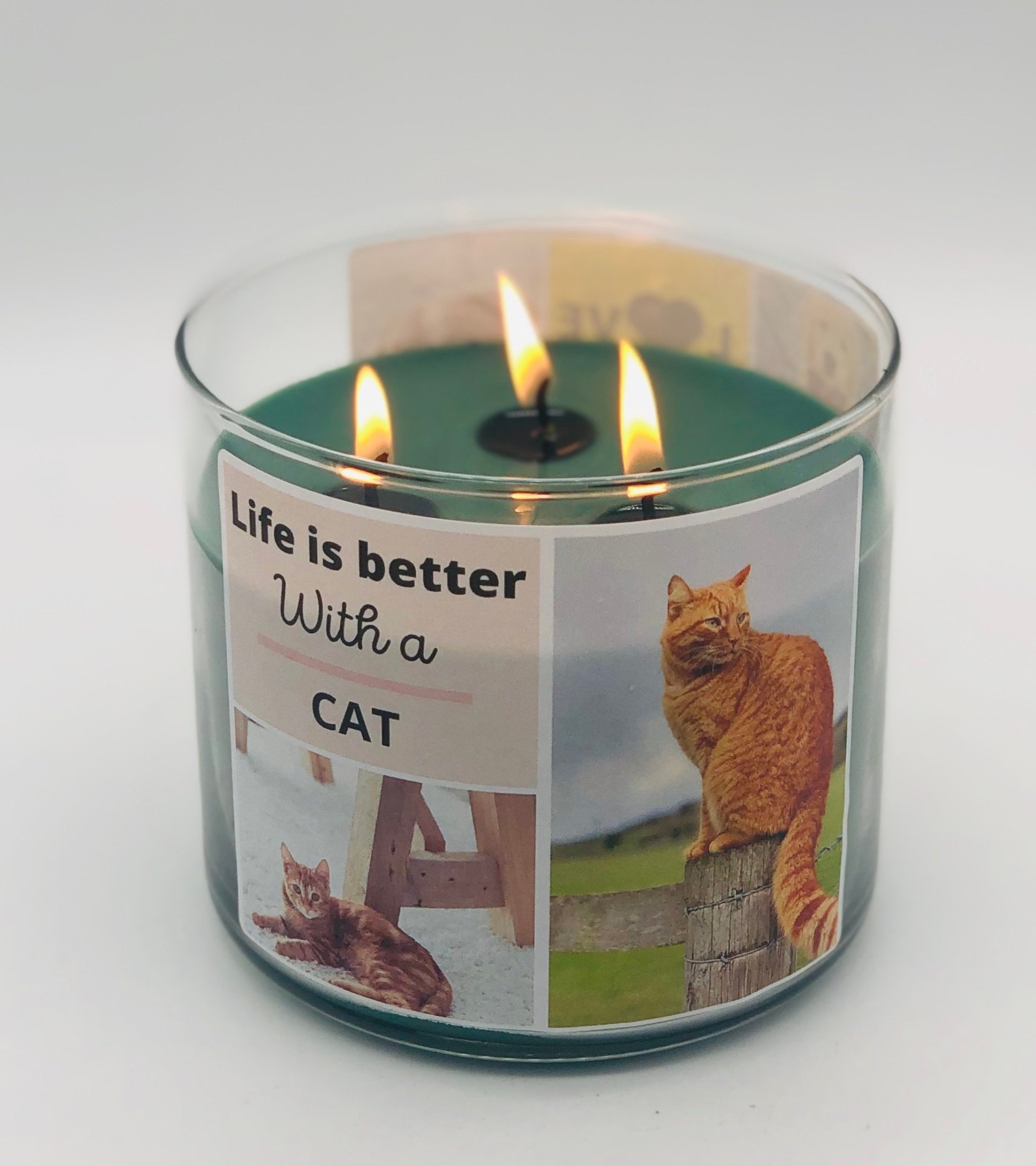 Custom Pet Candle 14oz soy 3 wick personalized jar candle Etsy