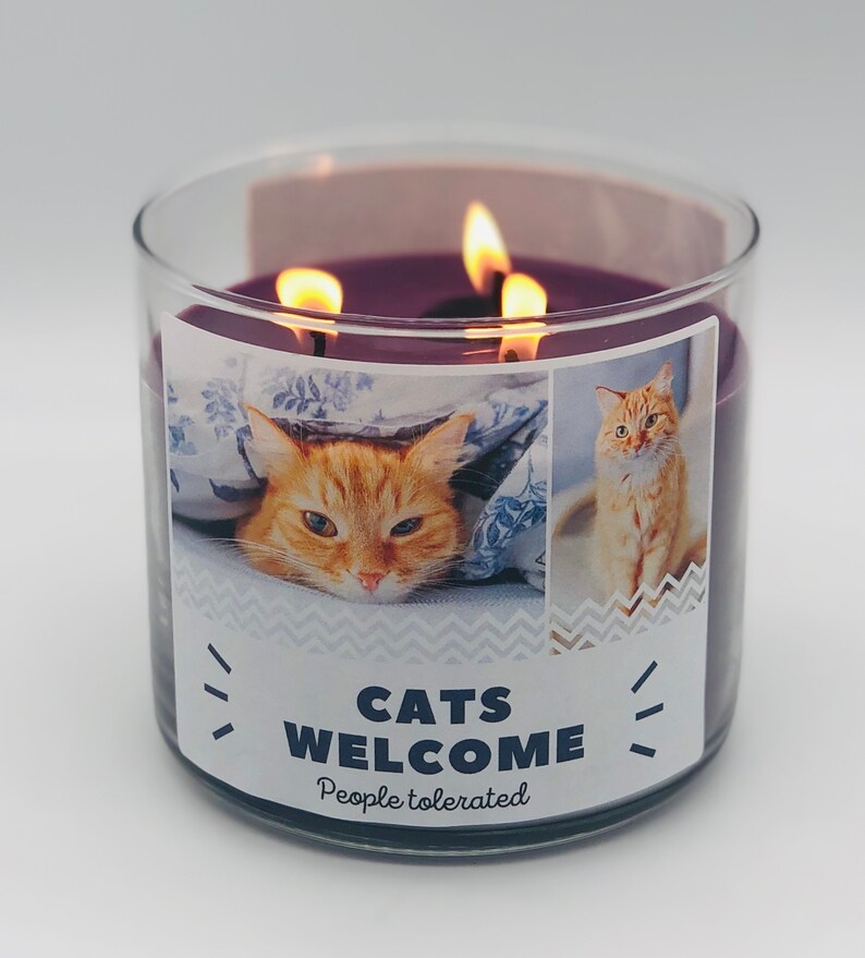 Custom Pet Candle 14oz soy 3 wick personalized jar candle Etsy