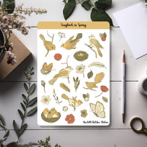 Foglio di adesivi "Songbirds in Spring" con disegni di uccelli e farfalle, Bujo, Scrapbooking e artigianato stagionale - 086