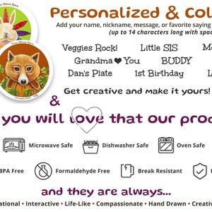 Kids Plastic Plate With Custom Name, Meet Pumpkin Head Fox Dinnerware, Children's Personalized Tableware, Animal Plate for Toddlers image 4