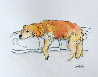 Full Body Huisdier Portret
