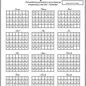 2022 Custody Planner - At-a-Glance Calendar for Custody Schedules with SUNDAY Week Start | Tracker for Single or Divorced Moms or Dads