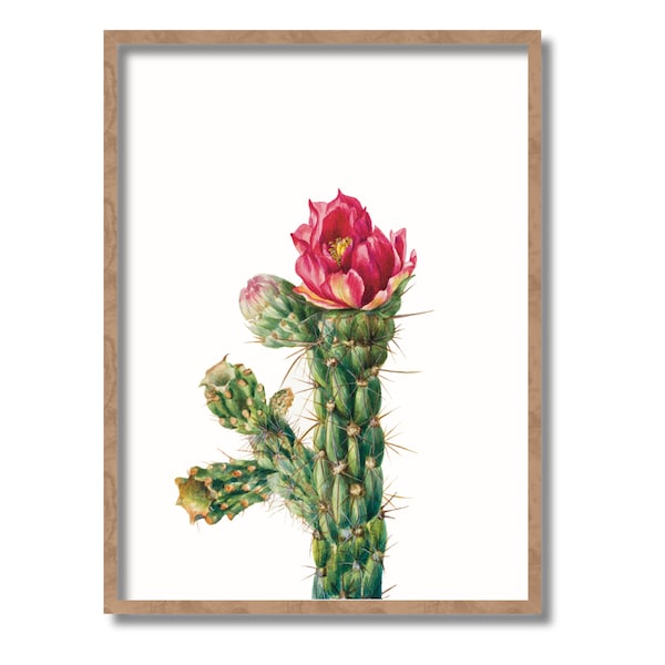 Walking Stick Cholla Opuntia imbricata Printable Wallart, Botany Poster, Cactus Poster, Cactus Art, Plant Mama Gifts, Downloadable Print