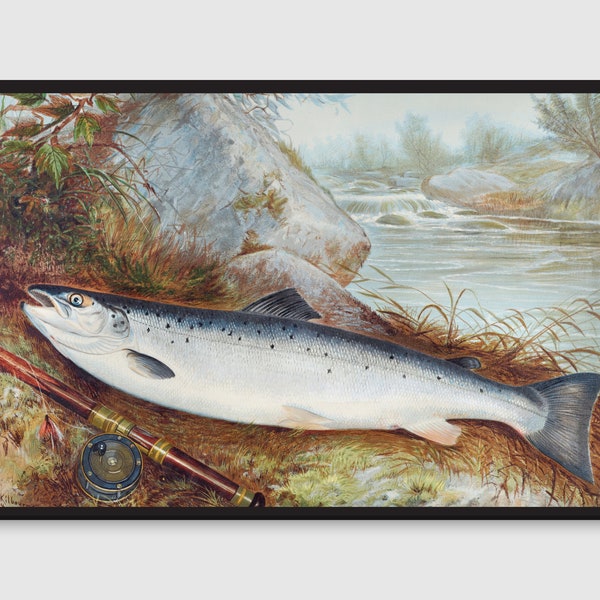Trout chromolithograph by Samuel Kilbourne Printable Wall Art, Vintage Fishing Wall Decor, Gifts for Him, Fishing Decor, Man Cave Wall Art
