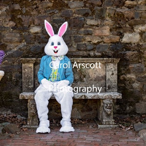 Easter Bunny on Bench in the Park Landscape Digital Backdrop Background