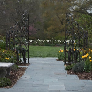 Park Gate Digital Backdrop Background
