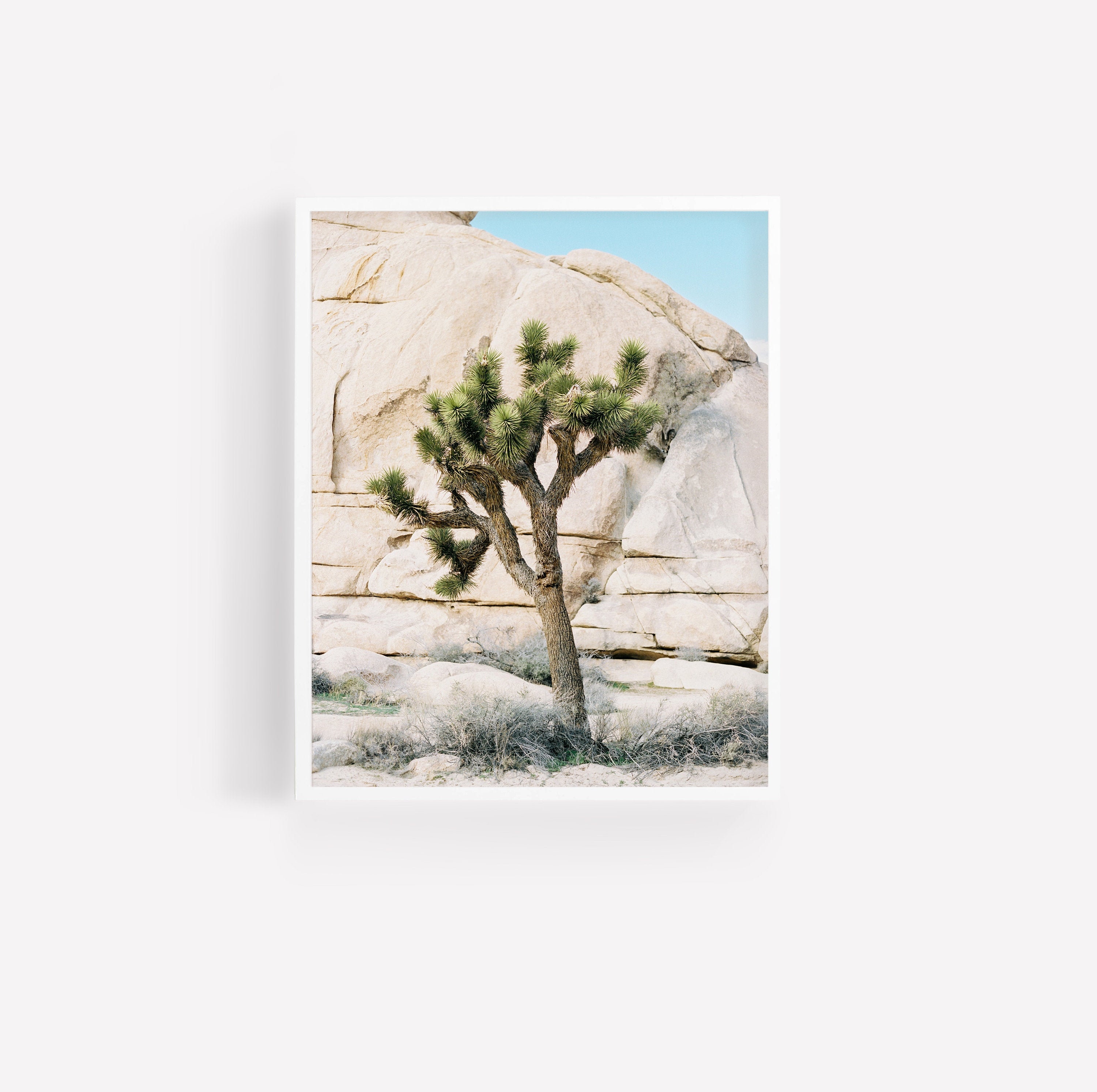 Joshua Tree Printable Wall Art Film Photography Etsy