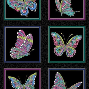 May include: Six colorful butterfly designs are framed in black squares on a black background with a floral border. The butterflies are all different colors and patterns, with some having black and white accents.