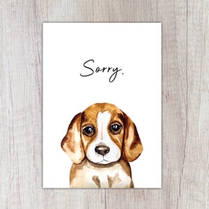 Karte "Sorry" mit Hund, A6