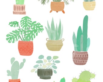 Botanical Art Print, Potted Plants