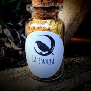 Calendula, Dried Flowers, Flower Petals, Witchcraft Supplies, Metaphysical Supplies, Flowers, Herbs, Magical Herbs, Cute Jars, Altar decor