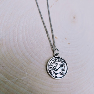 Zodiac, Capricorn Necklace, Capricorn Jewelry, Capricorn Pendant, Capricorn Sign, Astrology Pendant, Astrology Jewelry, Astrological Sign
