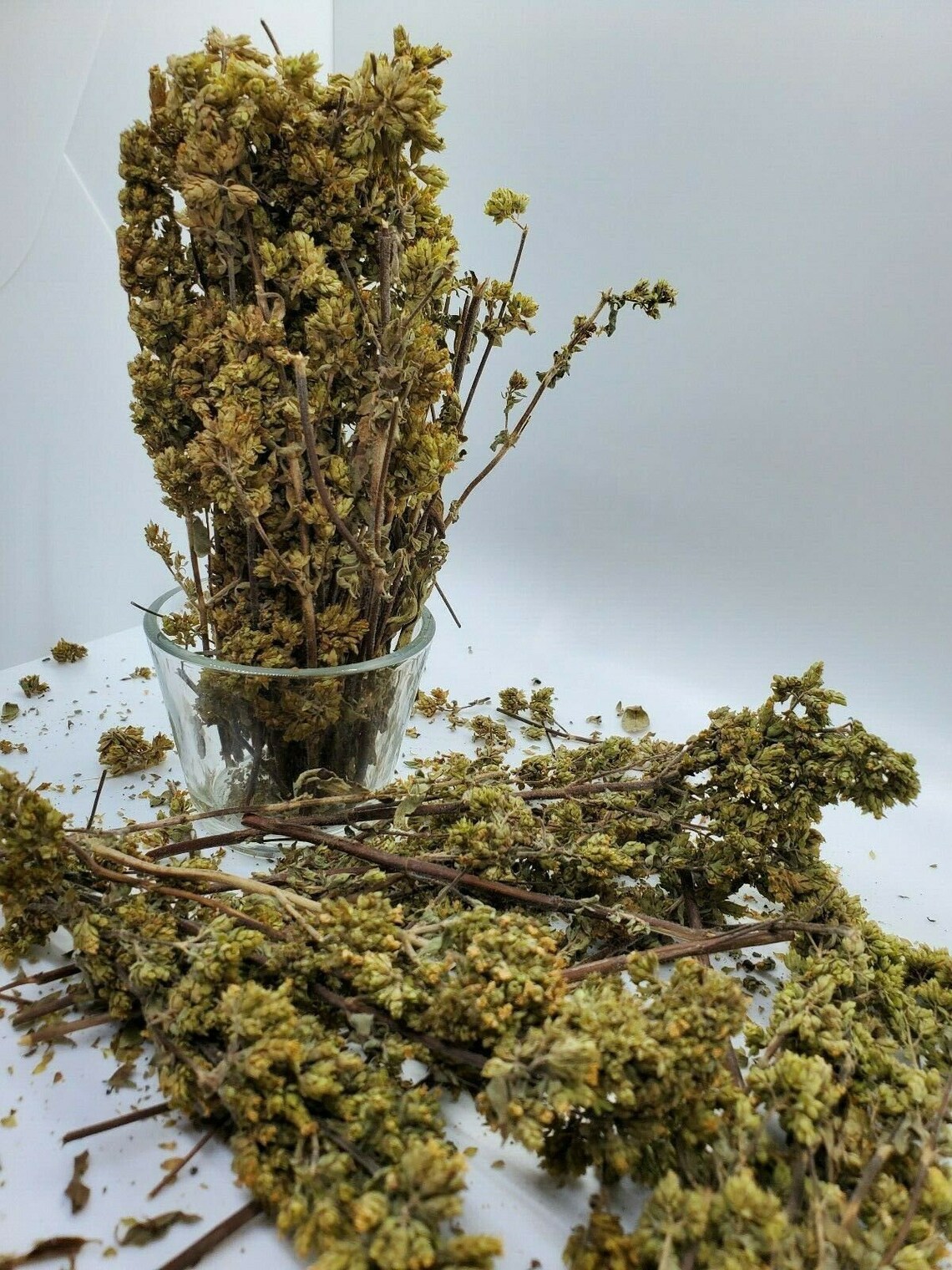 Oregano Wild Dried Whole organic Bunchoriganum Etsy