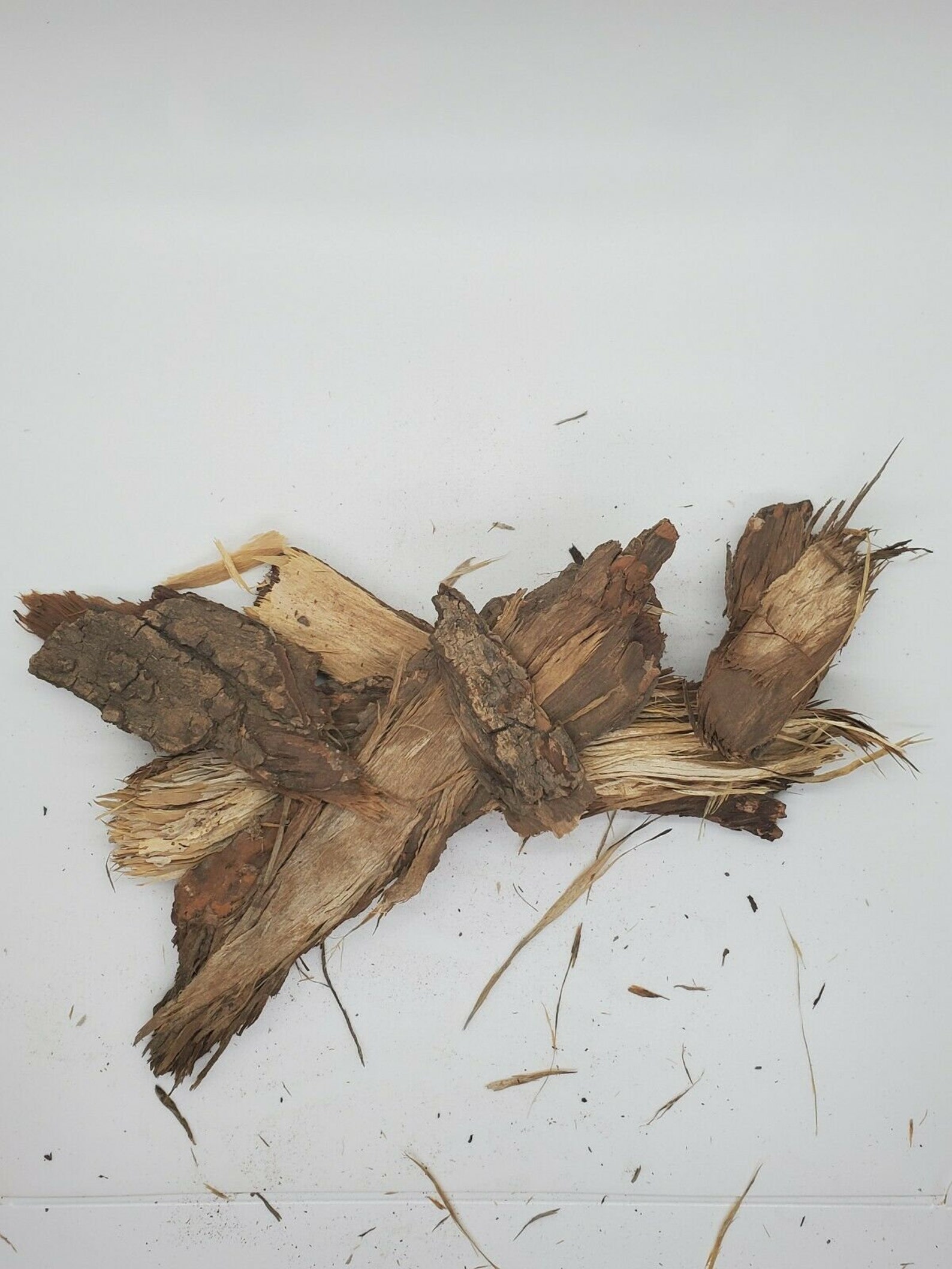 Neem Bark Dried 2 Oz Etsy