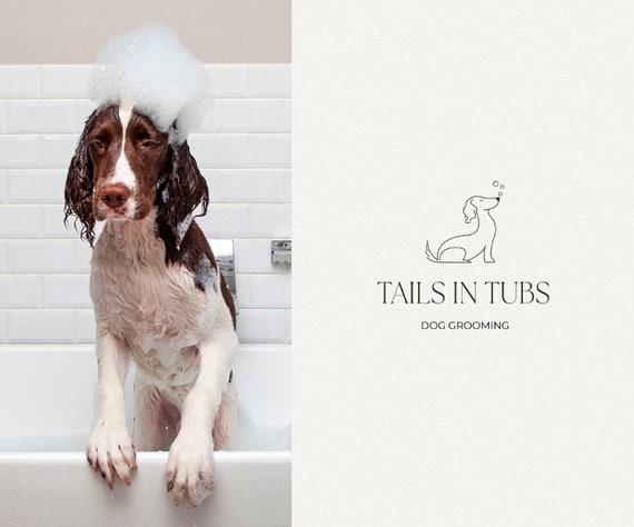 Modern top dog accessories
