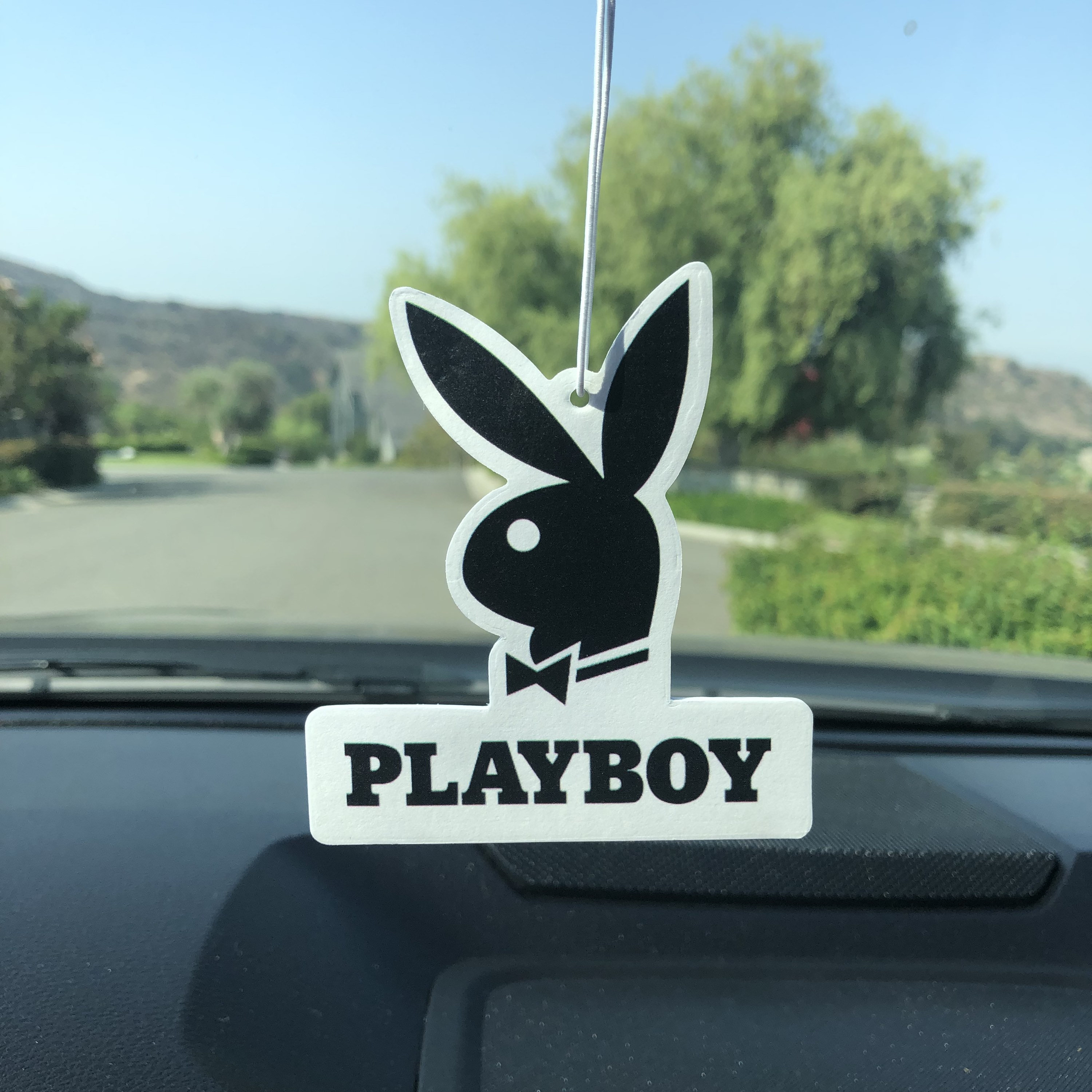 Playboy Logo Stainless Steel Vintage Mirror -  New Zealand