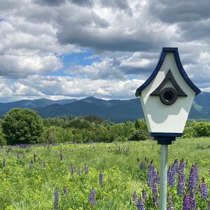 Regal Pole Mount Birdhouse White with Navy Roof image 5