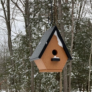 Classic Wren Poly Birdhouse, Cedar with Black Roof image 1