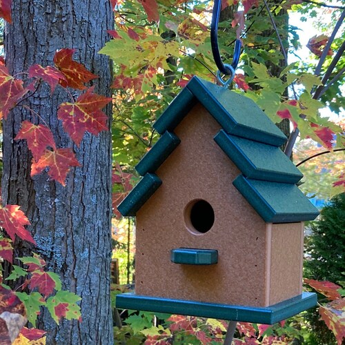 View of Classic Wren Eco-friendly Birdhouse Gray With Black Roof - Etsy