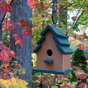 Traditional Eco-Friendly Birdhouse, Cedar with Green Roof