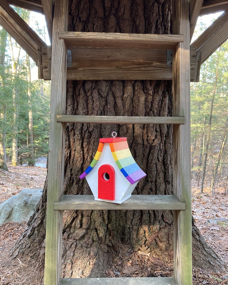 May include: A rainbow-colored birdhouse with a red door sits on a wooden shelf attached to a tree trunk.