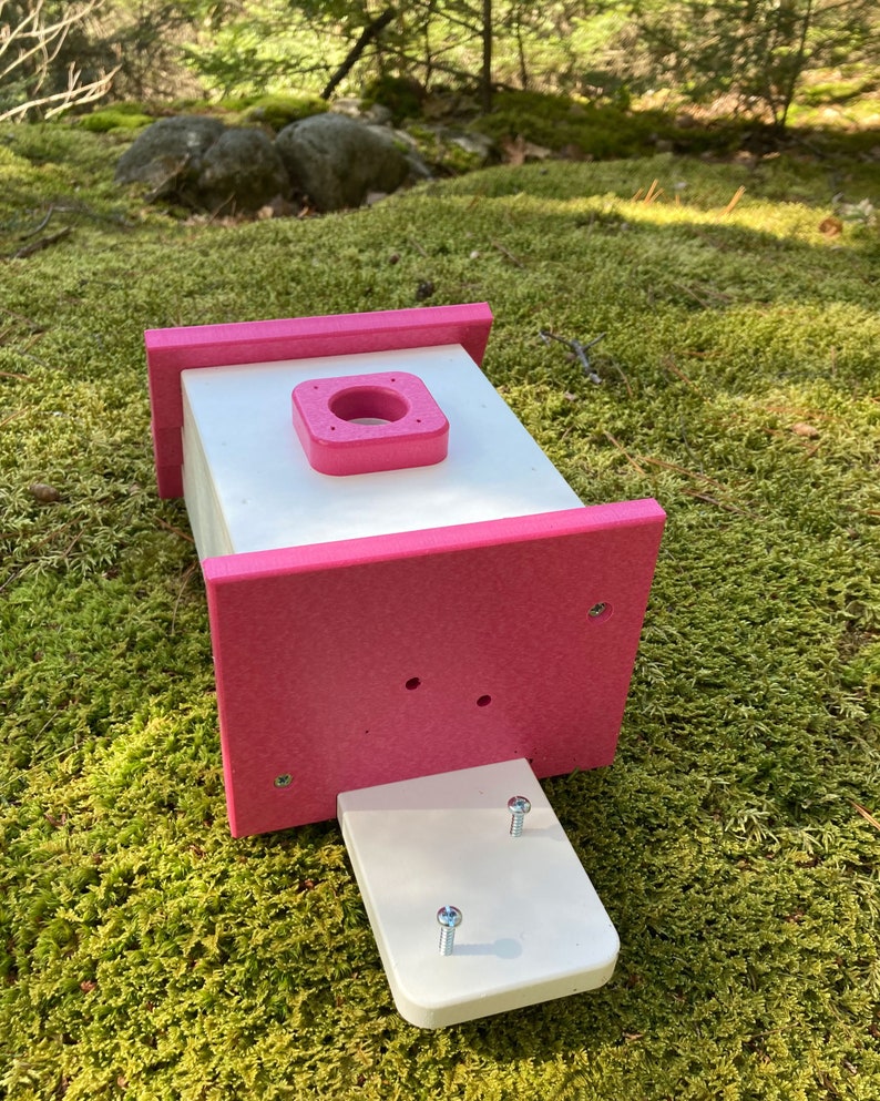 Square Back-Mount Birdhouse, White with Pink Roof image 4